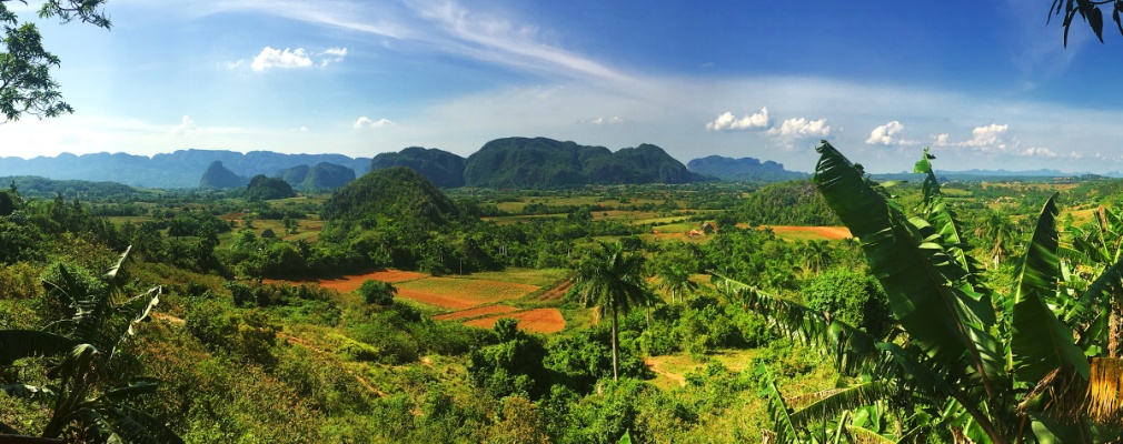La vallée verdoyante de Viñales à Cuba